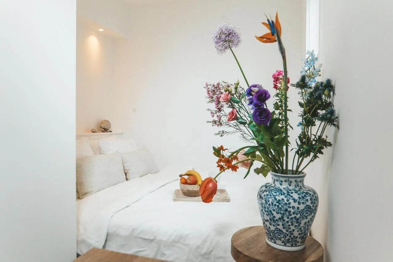 Apartment Tiny Beach House Zandvoort Netherlands